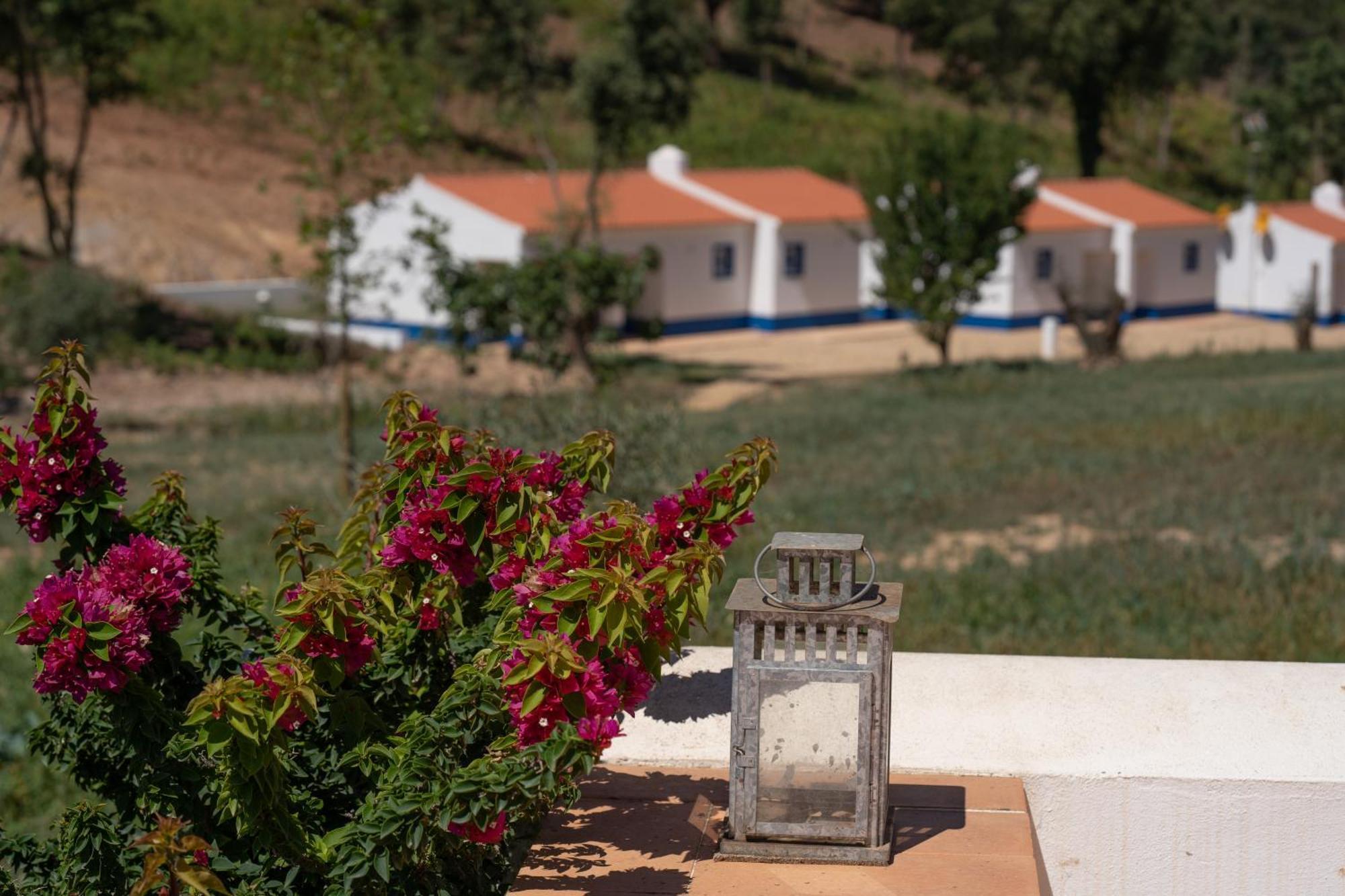 Vale Da Cassiopeia Guest House Cercal do Alentejo ภายนอก รูปภาพ